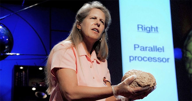 Using a brain as a physical prop during a presentation