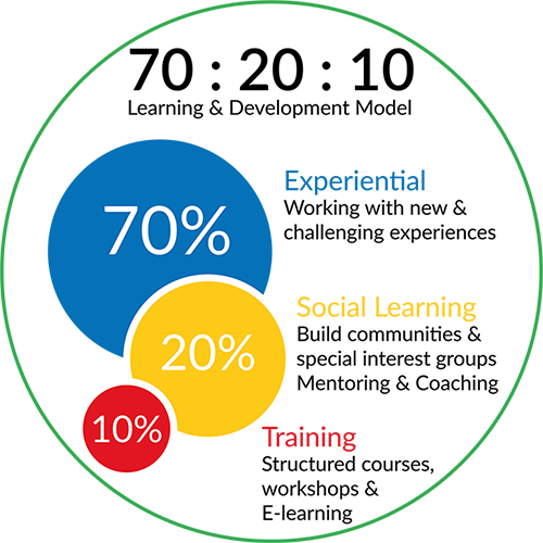 The 70-20-10 learning model