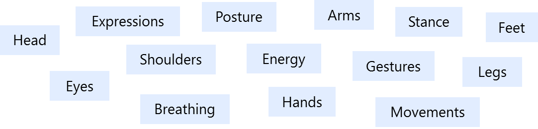 Diagram showing visual rapport areas